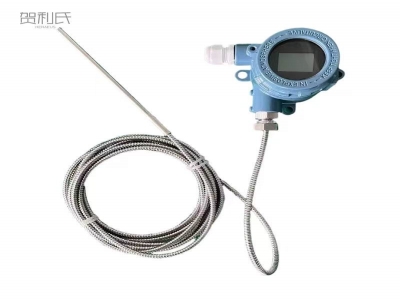 數(shù)顯溫度變送器（投入式測(cè)量探頭）